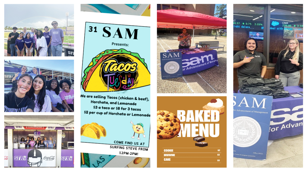 SAM SFA Image Collage